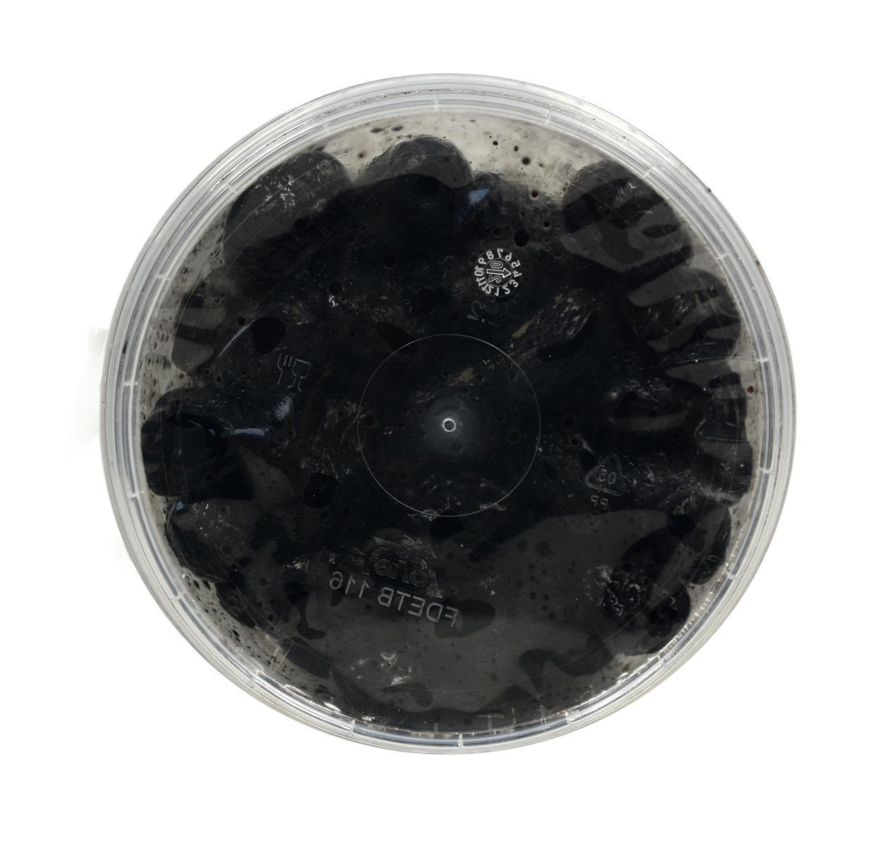 Hymor Marokkanische Oliven 595g schwarze Oliven mit Stein