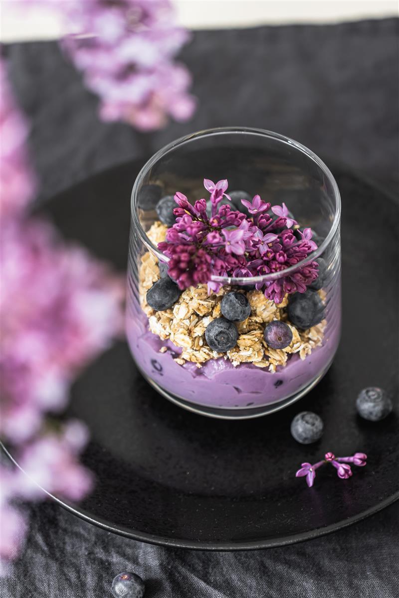 Caramanfruit Heidelbeeren-Püree 8x 1kg Blaubeer-Frucht-Püree