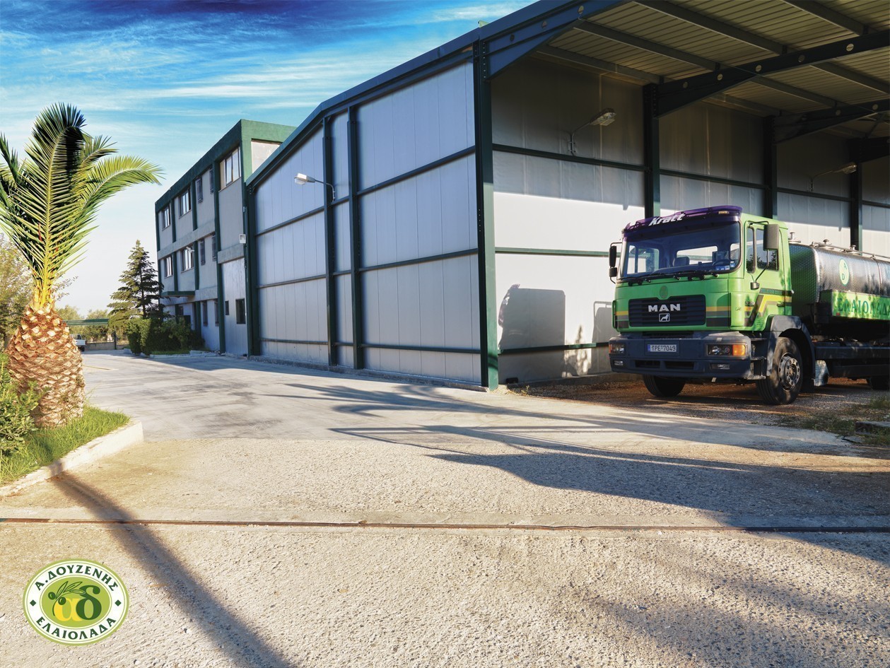 Theoni BIO Olivenöl 4x 3 Liter Kanister Griechenland extra vergine