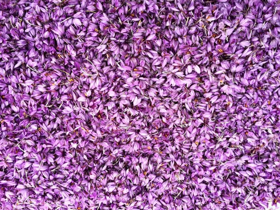 Hymor Afghanischer Safran 5g Safranfäden in Premium Qualität Super Negin Saffron