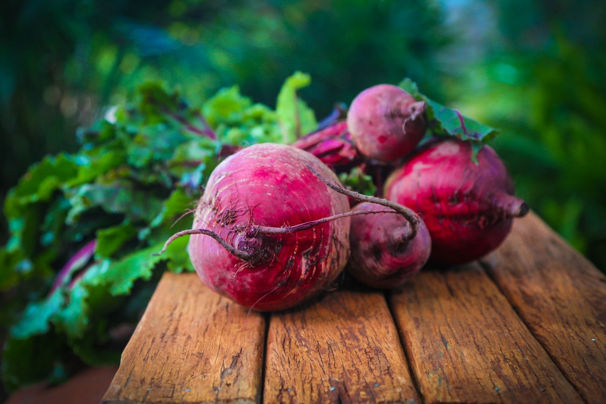 Ponthier ROTE BETE Gemüse-Püree Rote Betemark 6x 1KG 