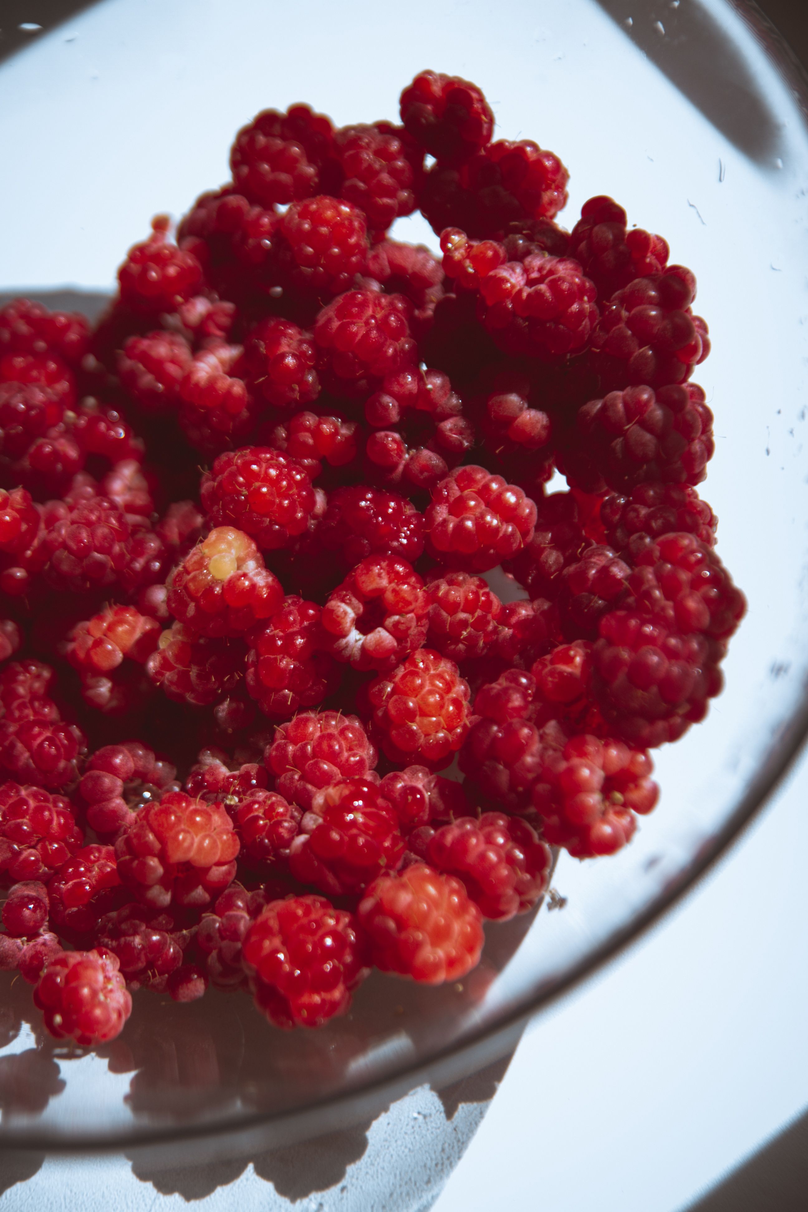 Ponthier HIMBEEREN PÜREE Beeren-Frucht-Püree Himbeermark 6x 1KG