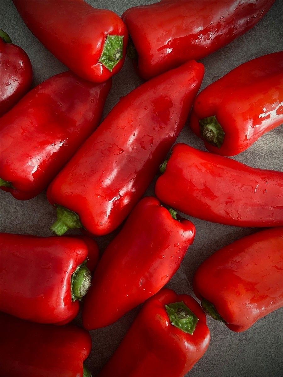 Ponthier PAPRIKA PÜREE ROT Gemüse-Püree Paprikamark 4x 1KG