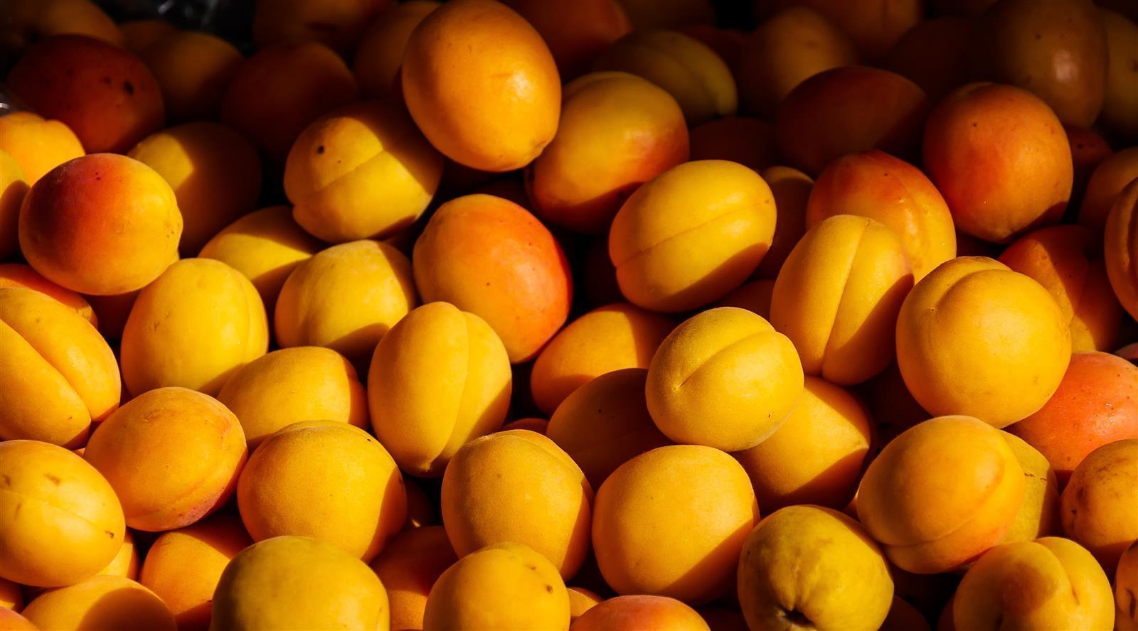 Leonce Blanc Aprikosen-Püree 1kg französisches Marillen Frucht-Püree