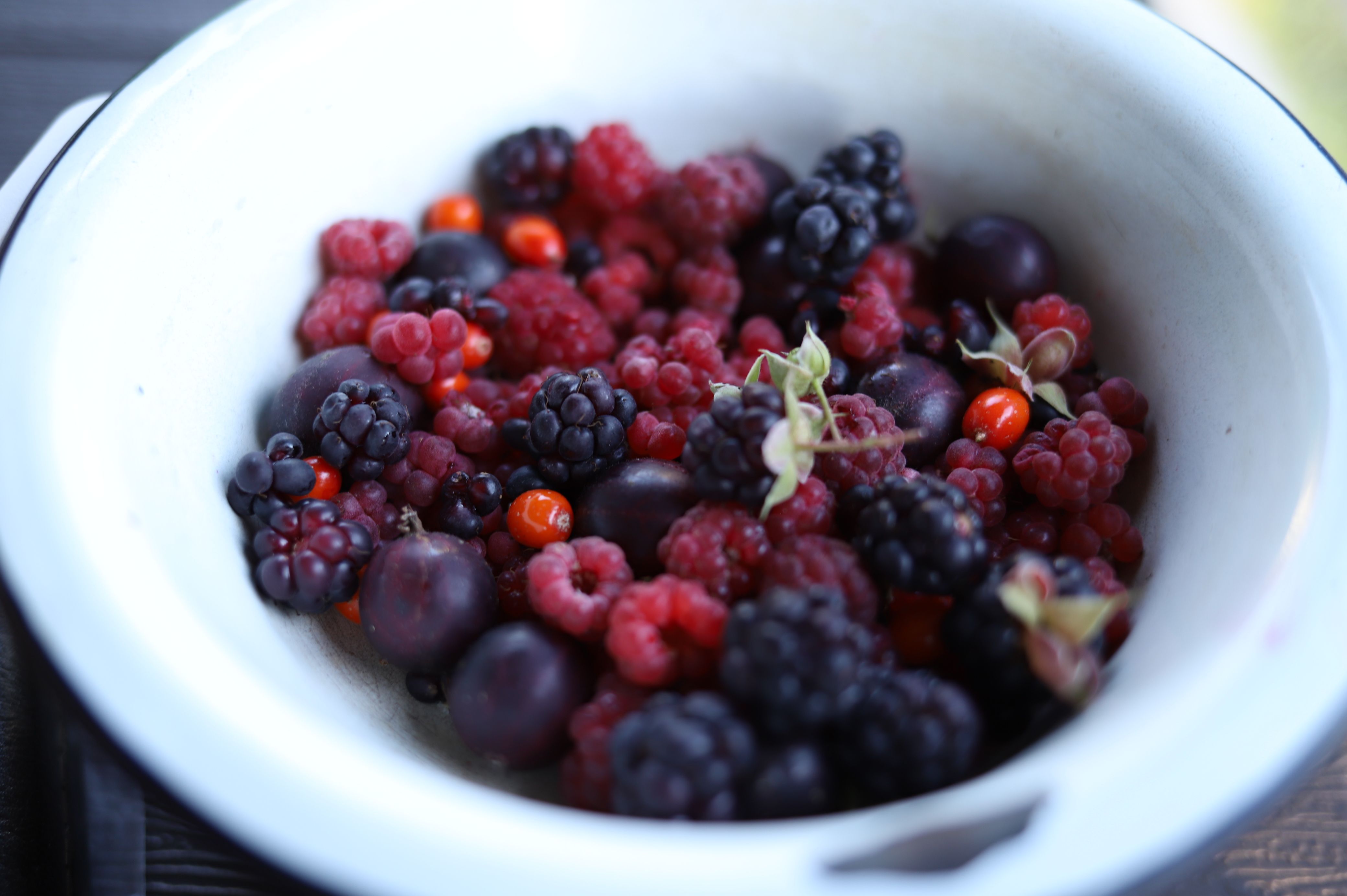 Ponthier ROTE FRÜCHTE PÜREE Frucht-Mark-Püree Rote Früchtemark 6x 1KG