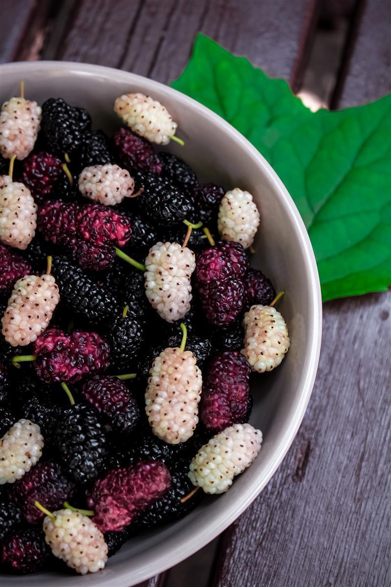 Caramanfruit Brombeeren Frucht-Püree 8x 1kg fruchtiges Beeren-Püree