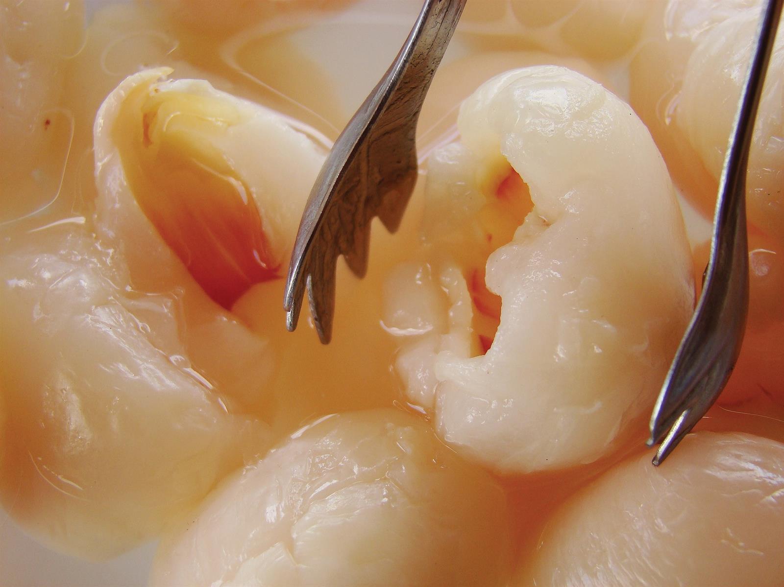 Double Phoenix Lychee 567g leicht gezuckert eingelegte Litschi