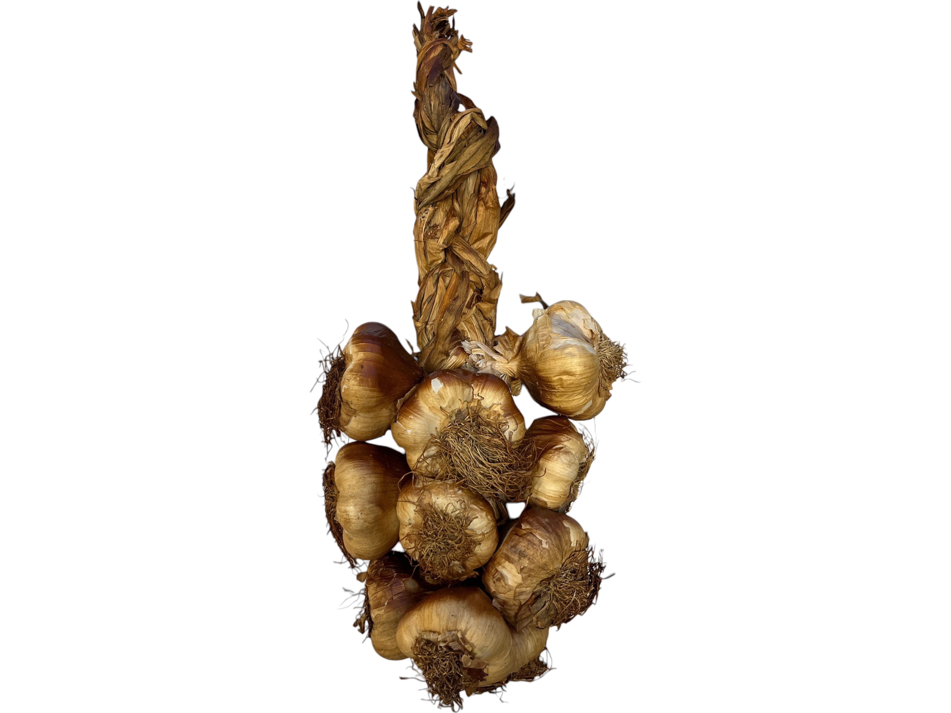 Hymor französischer geräucherter Knoblauch 36 Stück 3x1kg als Zopf