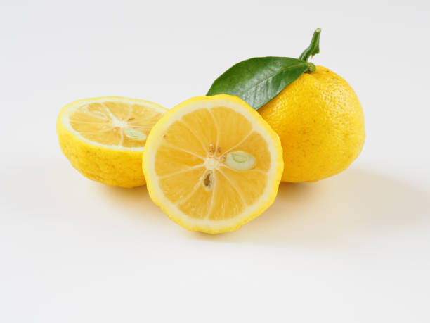 Ponthier YUZU PÜREE Japanische-Zitrus-Frucht-Püree Yuzumark 6x 1kg