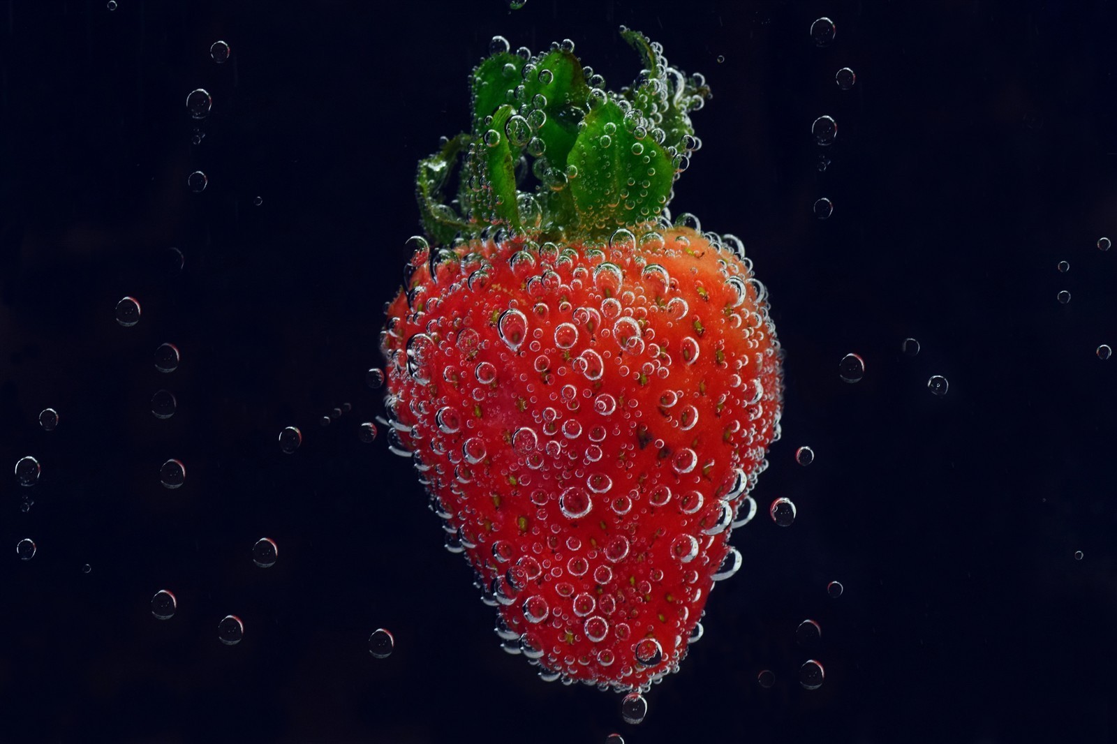 Ponthier ERDBEEREN PÜREE Camarossa-Mara-des-Bois-Beeren Erdbeermark 6x 1KG