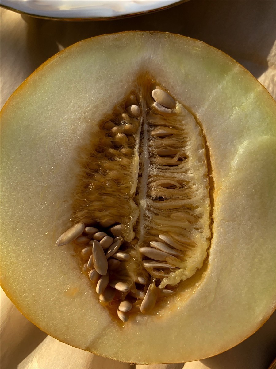 Ponthier MELONEN PÜREE Melon-du-Quercy-Frucht-Püree Melonenmark 1KG