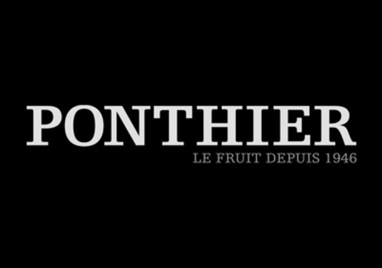 Ponthier Mango Alphonso Fruchtpüree 1kg Premium Mango-Püree Indien