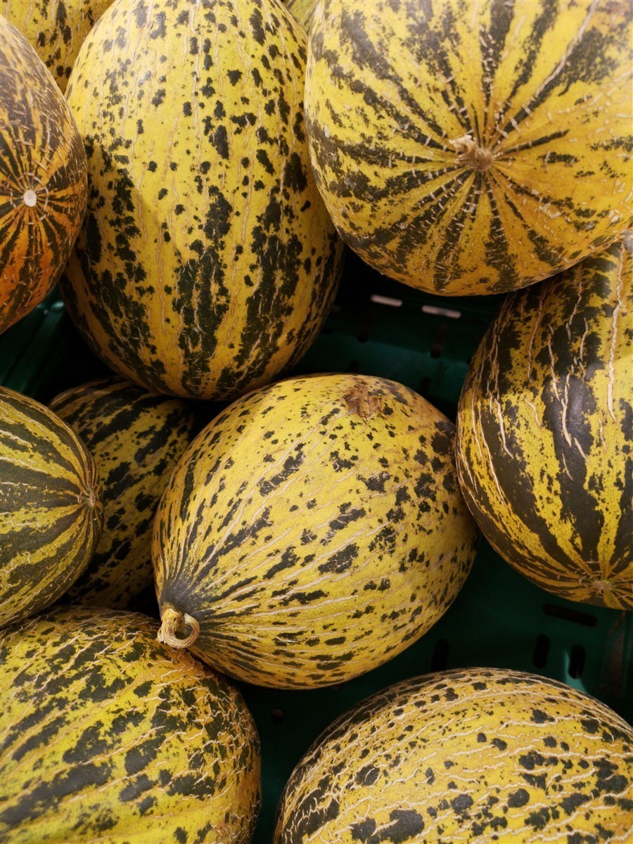 Ponthier MELONEN PÜREE Melon-du-Quercy-Frucht-Püree Melonenmark 1KG
