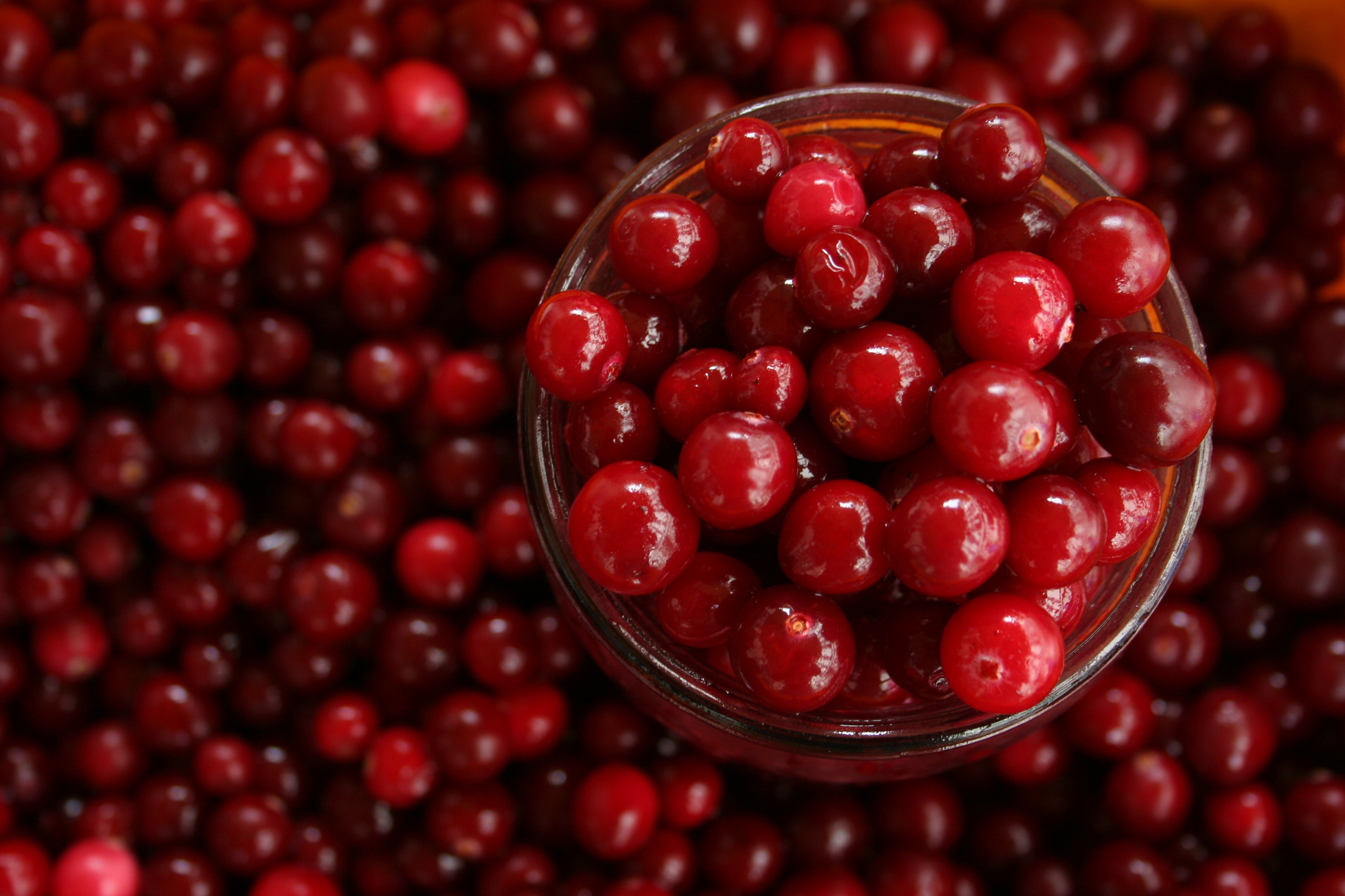 Ponthier CRANBERRY PÜREE Moos-Beeren-Frucht-Püree Cranberrymark 6x 1KG