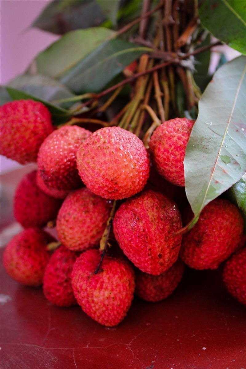 Ponthier LITSCHI PÜREE Lychee-Frucht-Püree Litschimark 6x 1KG