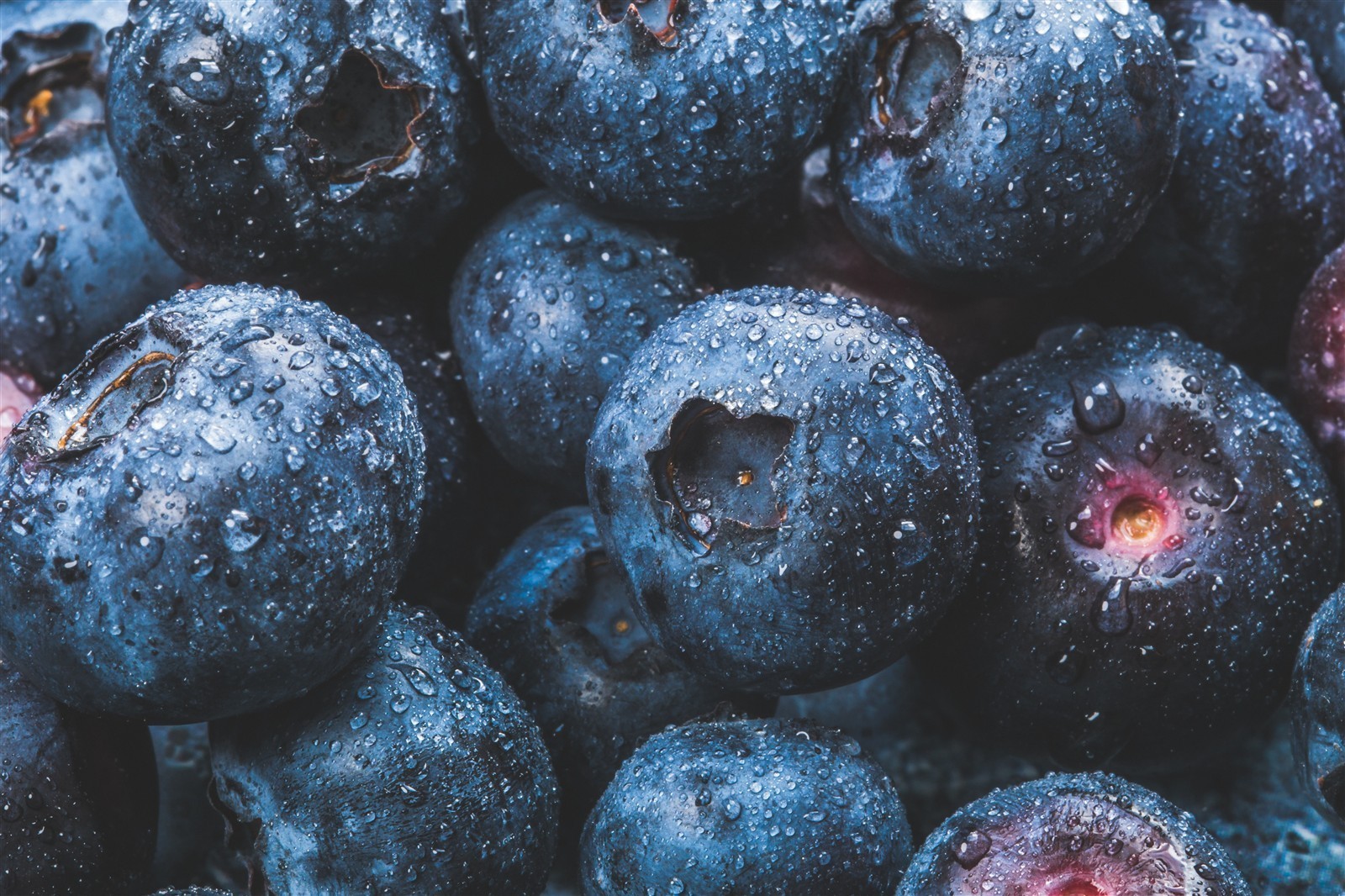 Ponthier HEIDELBEEREN PÜREE Frucht-Püree Heidelbeerenmark 4x 1KG