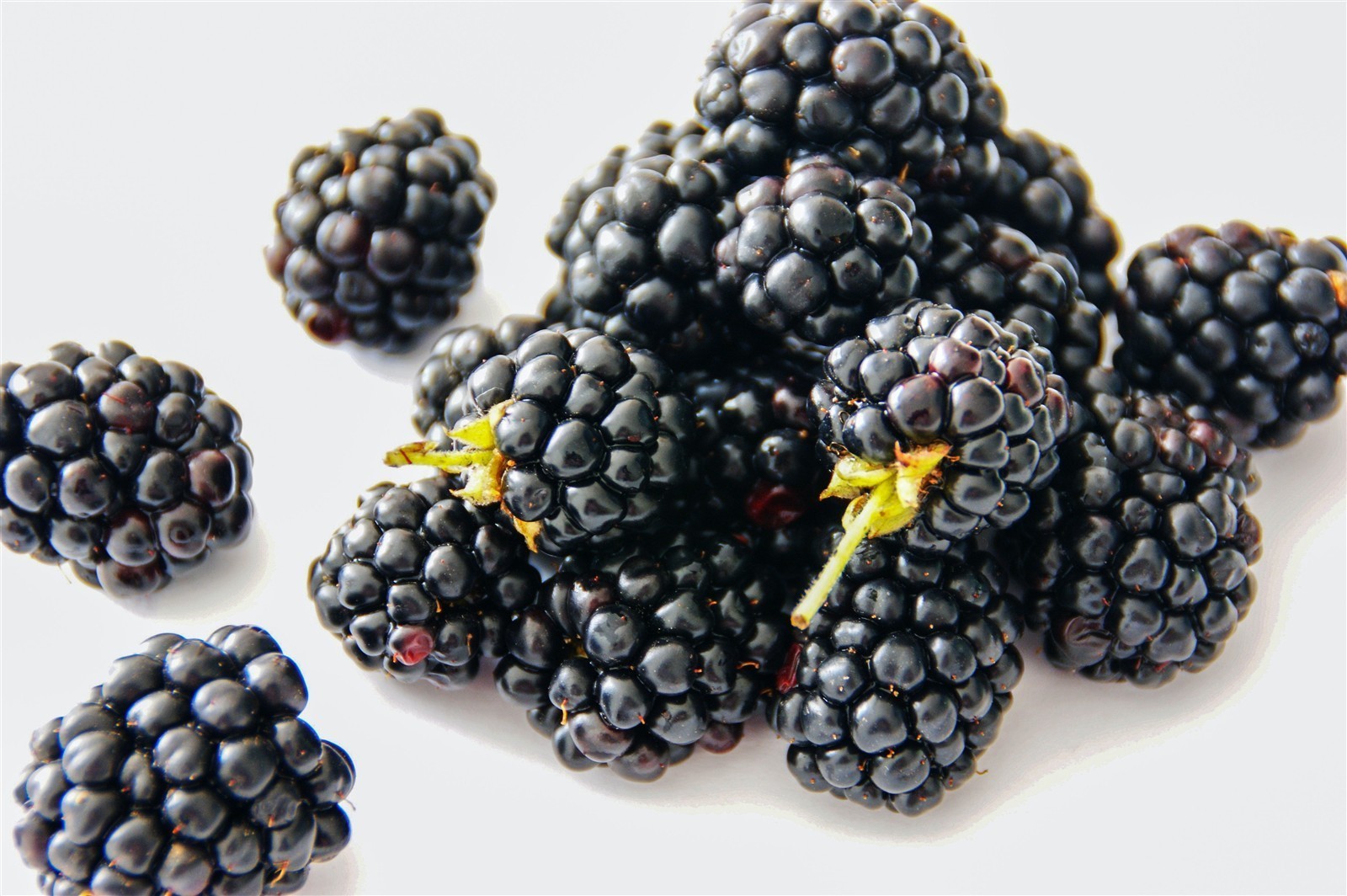 Ponthier BROMBEEREN PÜREE Frucht-Mark-Püree Brombeermark 6x 1KG