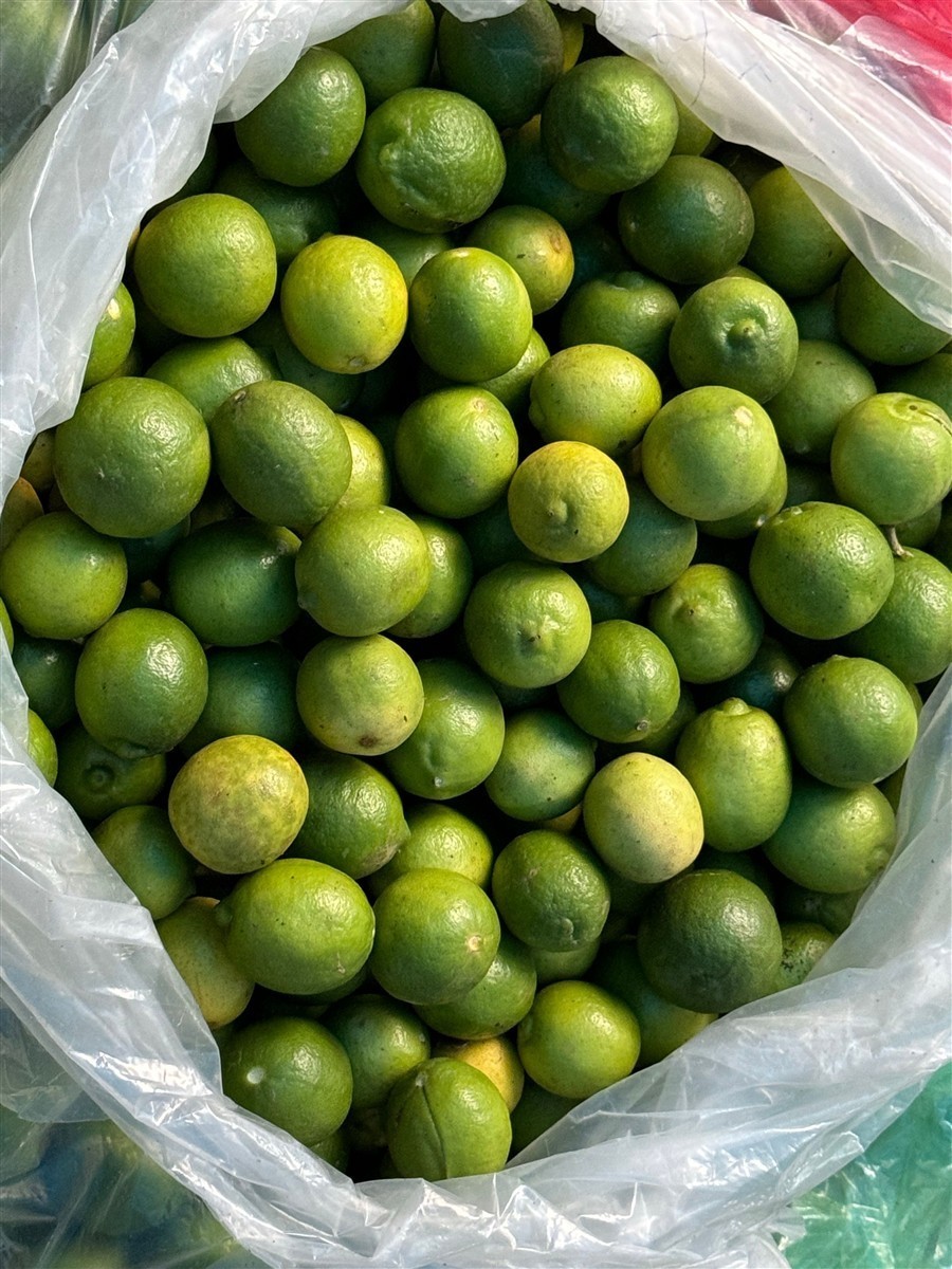Ponthier KALAMANSI PÜREE Zitrus-Frucht-Püree Kalamansimark 6x 1KG