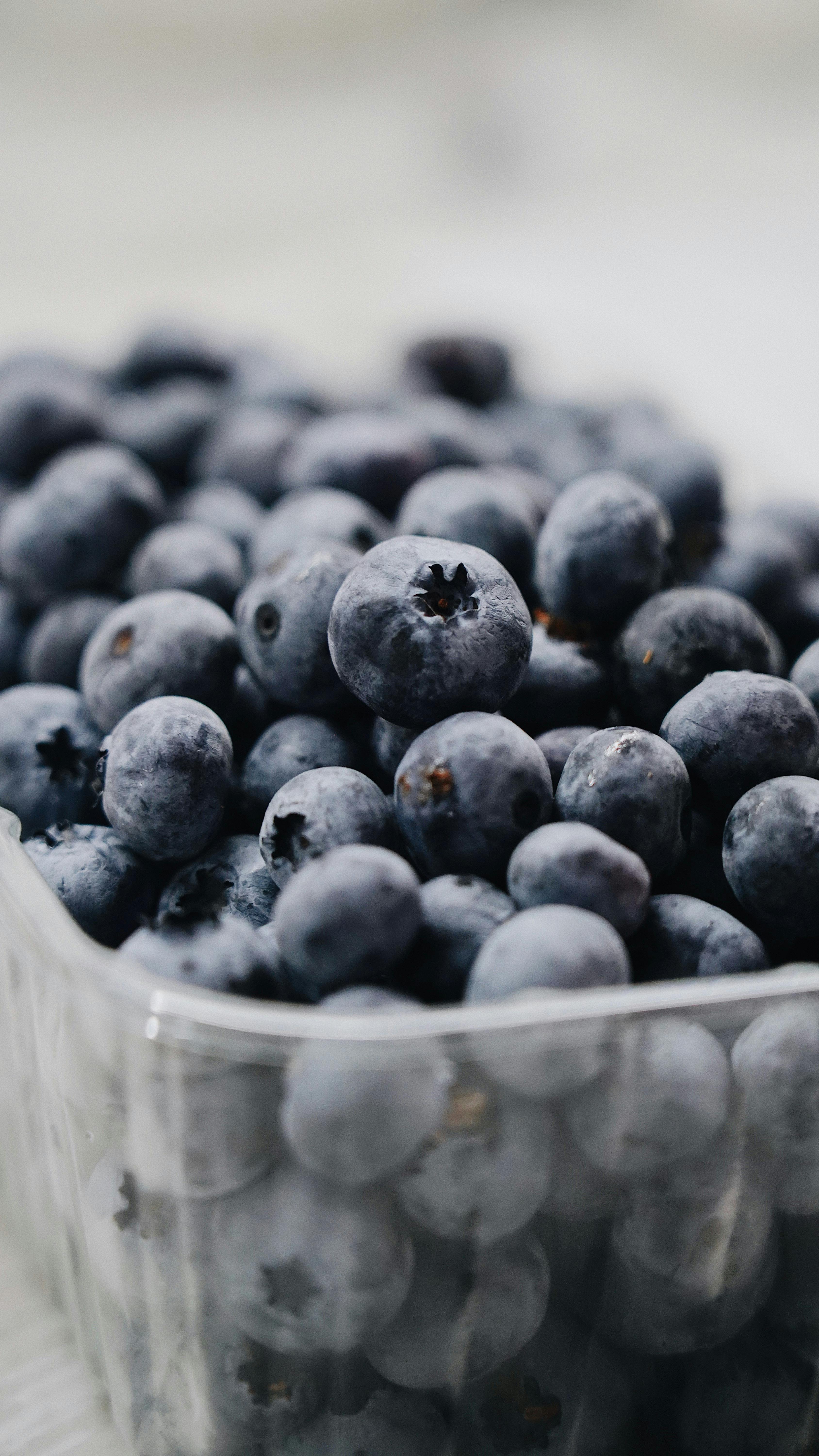 Ponthier HEIDELBEEREN PÜREE Frucht-Püree Heidelbeerenmark 6x 1KG