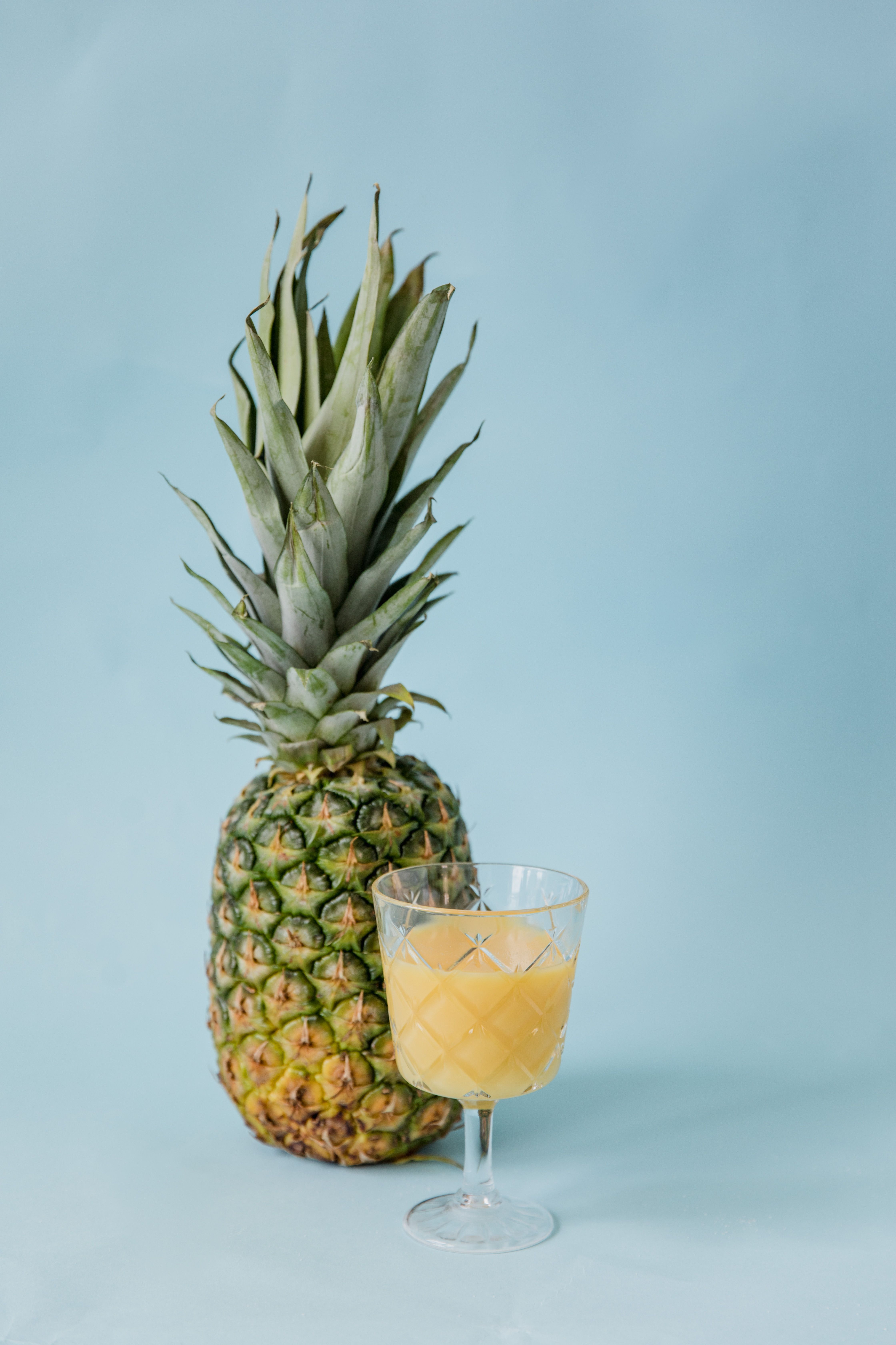 Ponthier ANANAS PÜREE Frucht-Püree Ananasmark 6x 1KG