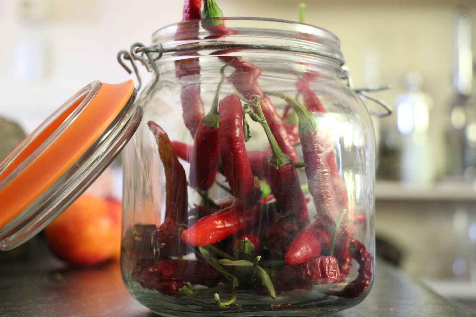 Marco Polo rote Jalapenos in Scheiben FM 3000g ATG 1500g Dose