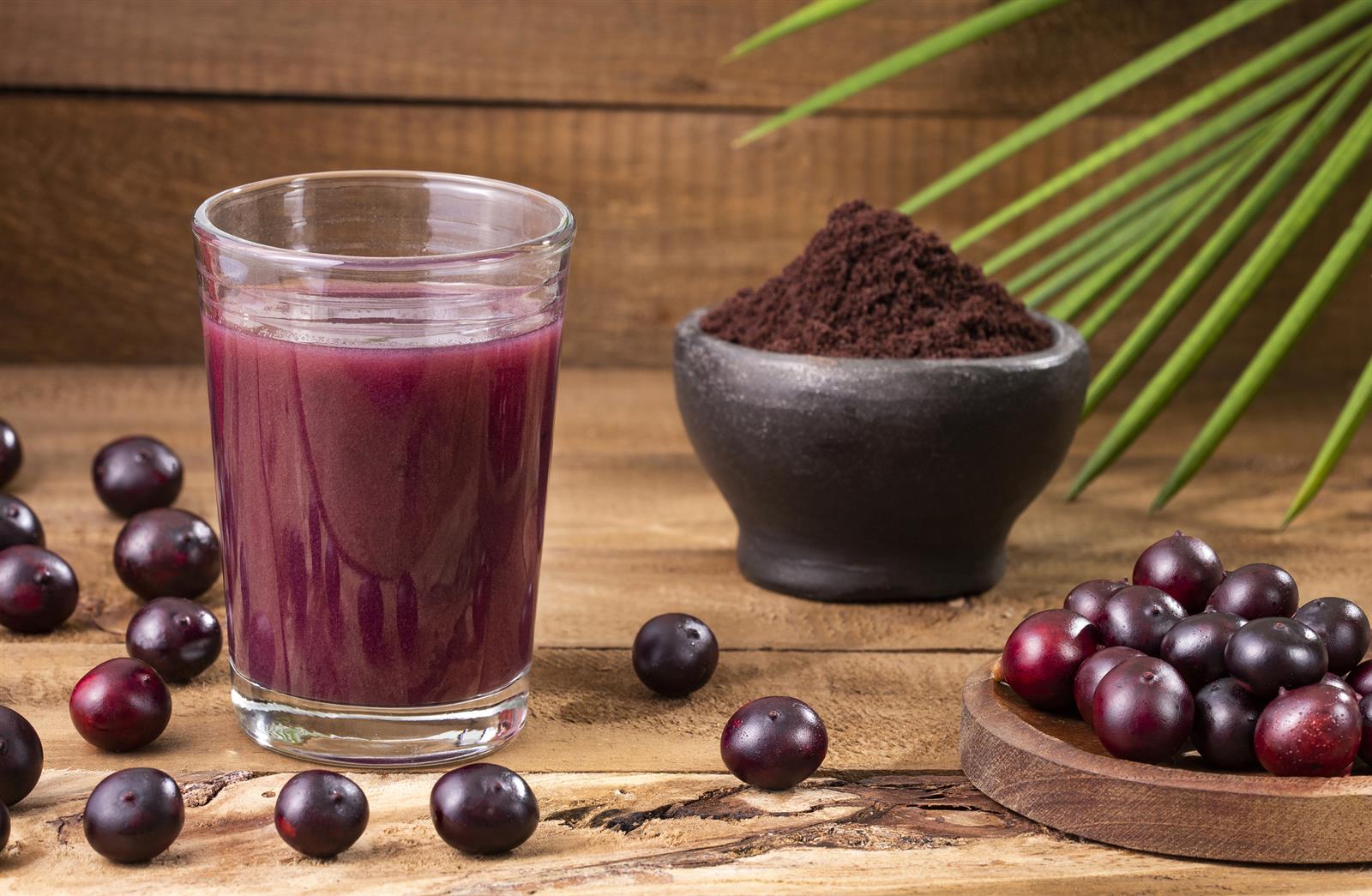 Ponthier Bio Acai-Püree 1kg Fruchtpüree aus Acai-Beeren Amazonas Superfood