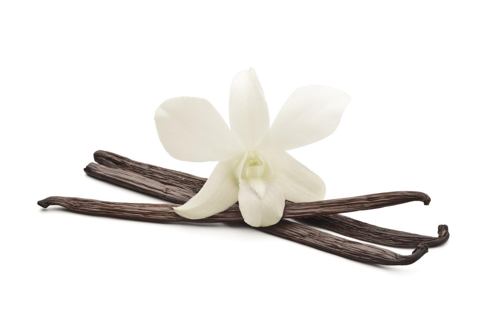 Hymor Bourbon Gourmet 10g Vanilleschoten Madagaskar 16-18cm Schote neue Ernte