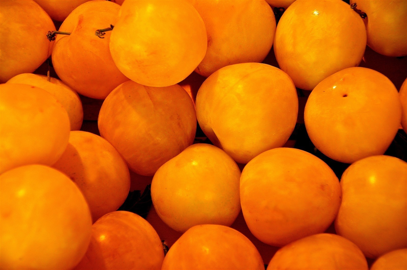Ponthier MIRABELLEN PÜREE Zwetschge-Frucht-Püree Mirabellenmark 6x 1KG