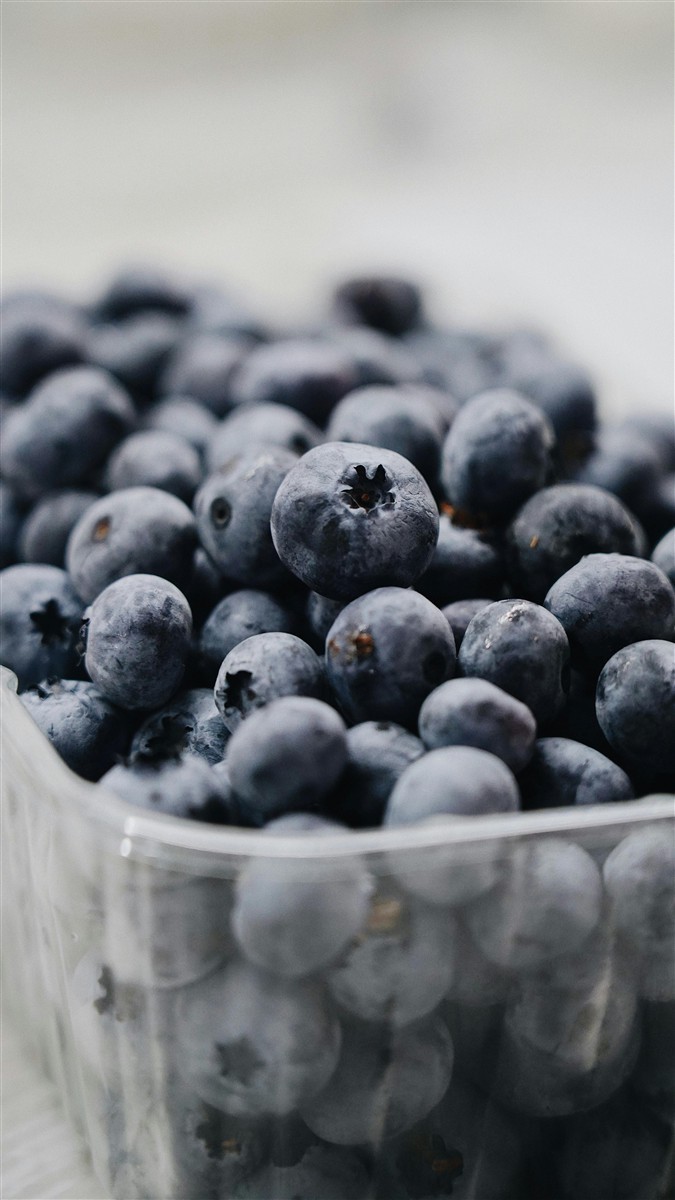 Ponthier HEIDELBEEREN PÜREE Frucht-Püree Heidelbeerenmark 2x 1KG