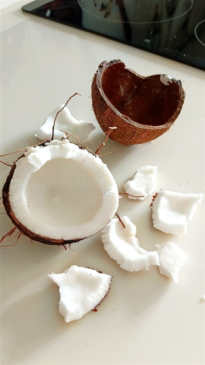 Ponthier KOKOSNUSS PÜREE Nüsse-Püree Kokosnussmark 6x 1KG 