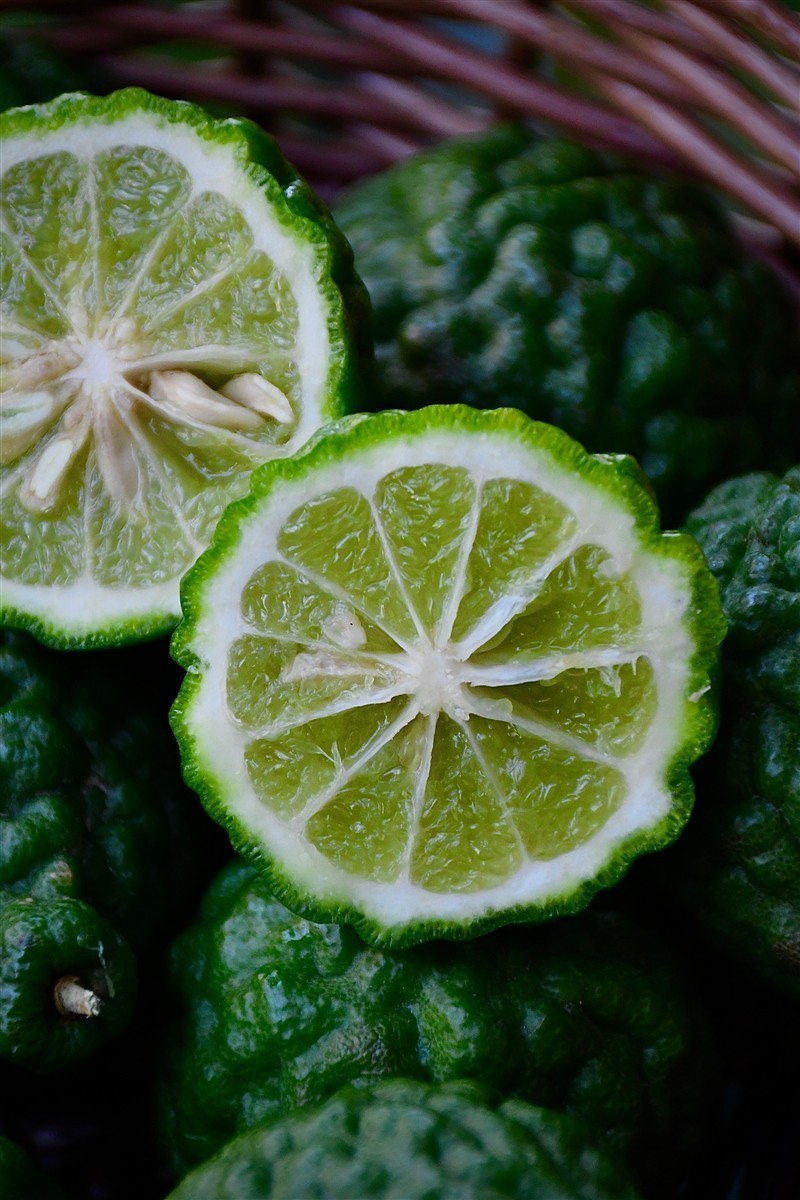 Ponthier BERGAMOTTEN PÜREE Zitrus-Frucht-Püree Bergamottenmark 6x 1KG