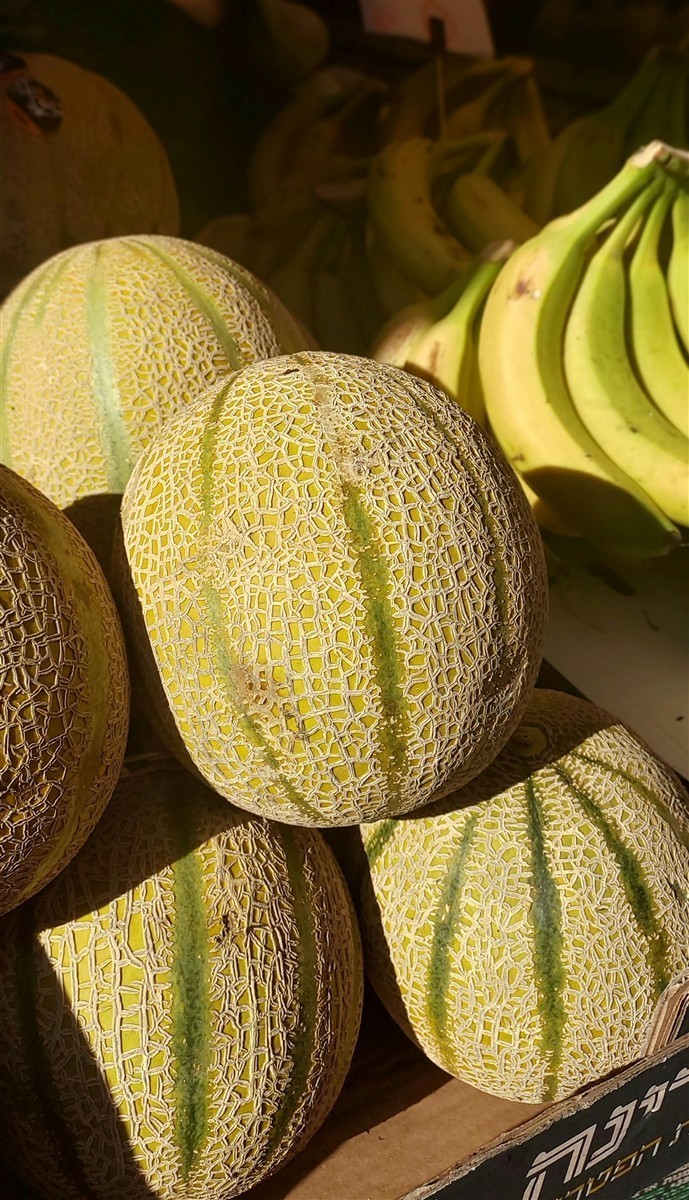 Ponthier MELONEN PÜREE Melon-du-Quercy-Frucht-Püree Melonenmark 1KG