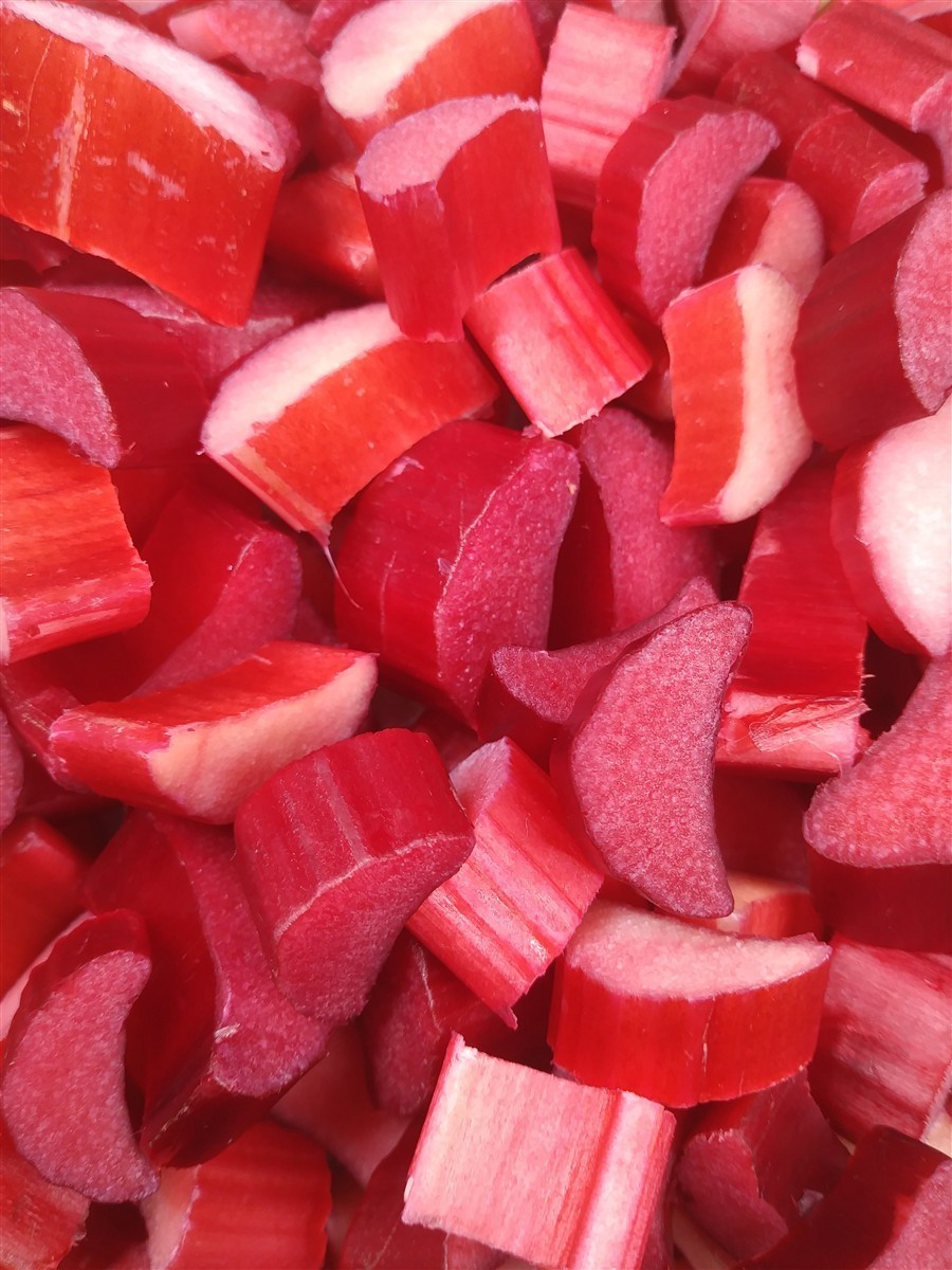 Ponthier RHABARBER ROT PÜREE Süß-Gemüse-Püree Rhabarbermark 6x 1KG 