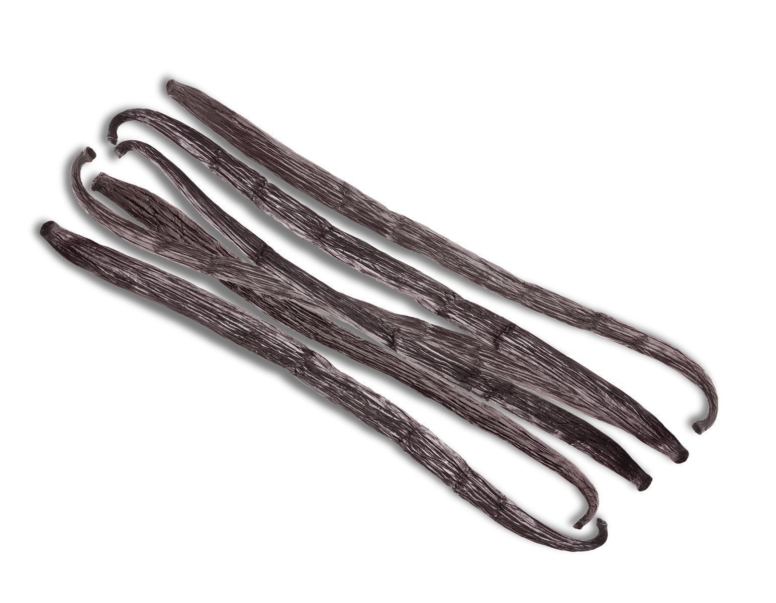 Hymor Bourbon Gourmet 10g Vanilleschoten Madagaskar 16-18cm Schote neue Ernte