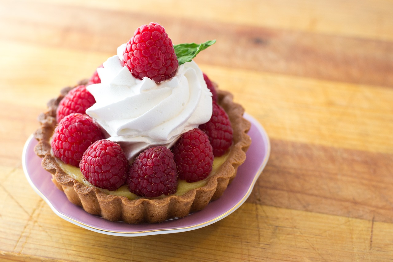 Ponthier BIO Himbeeren-Püree 1kg Fruchtpüree aus 100% süßen Willamette Beeren