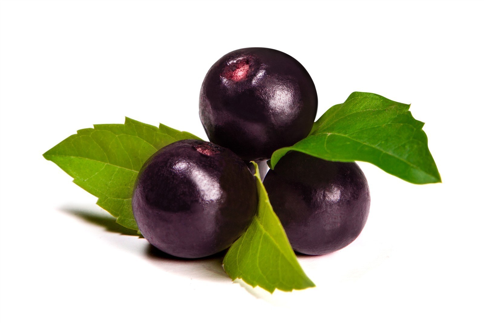 Ponthier ACAI-BEERE-Frucht-PÜREE Acaibeerenmark 1KG